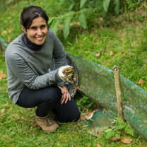Amphibian Research Amphibian Research